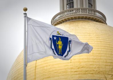 Commonwealth Flag in front of a gold dome building